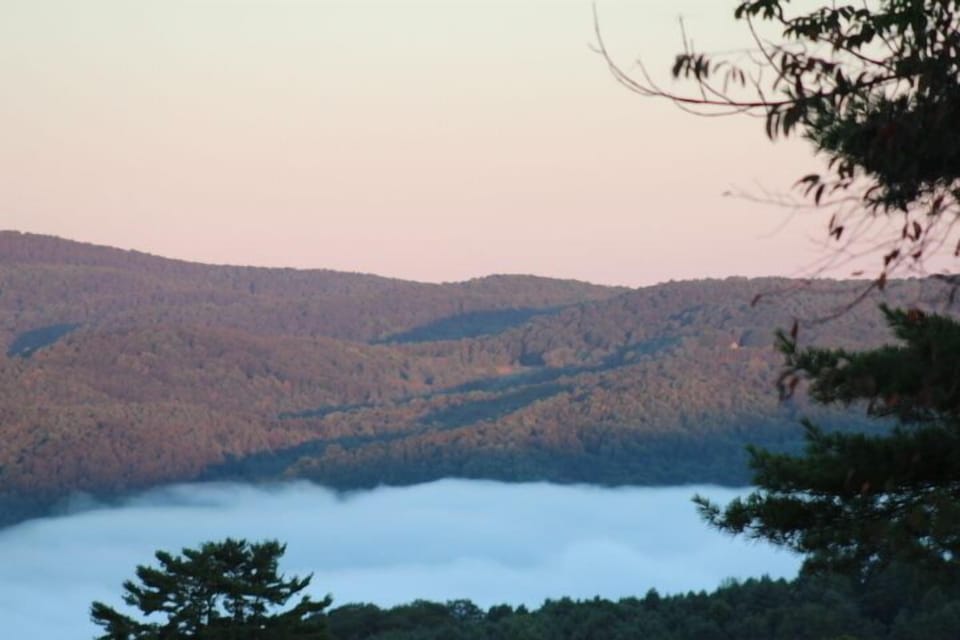 Early morning fog over the White River 