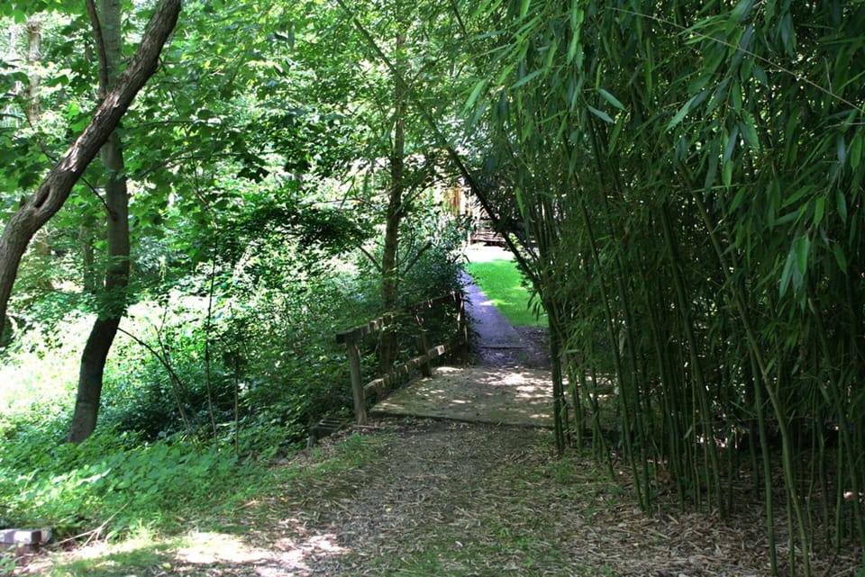 Walkway from the parking area