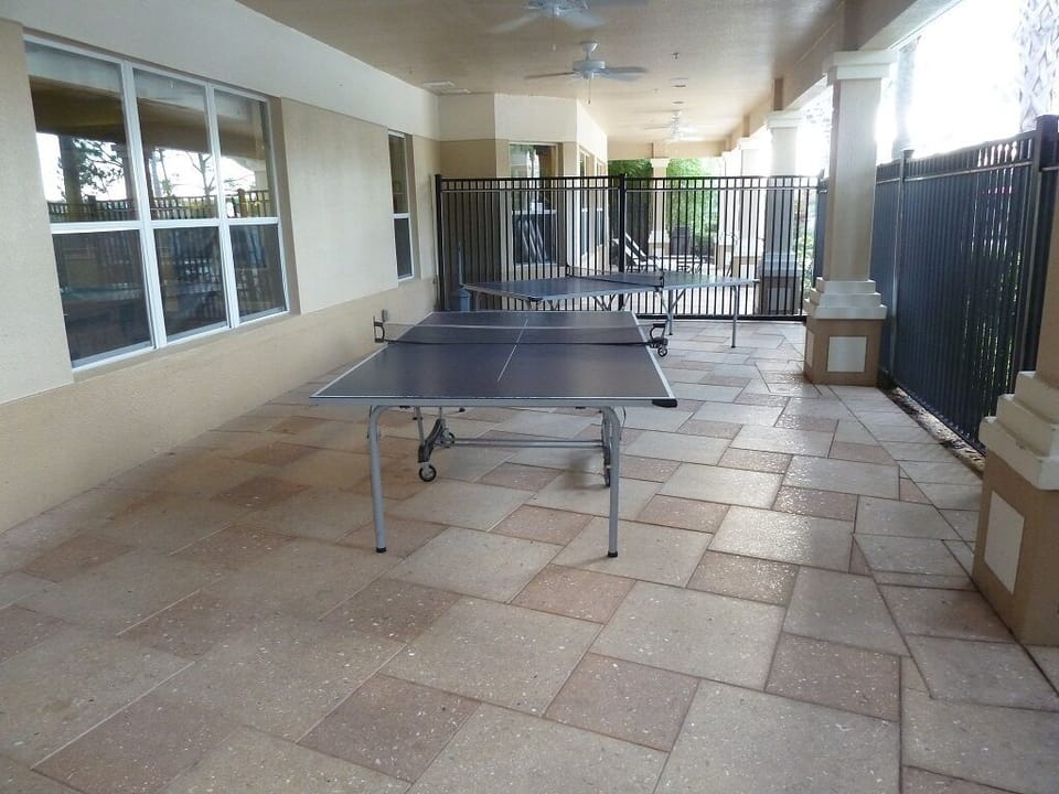 Ping Pong