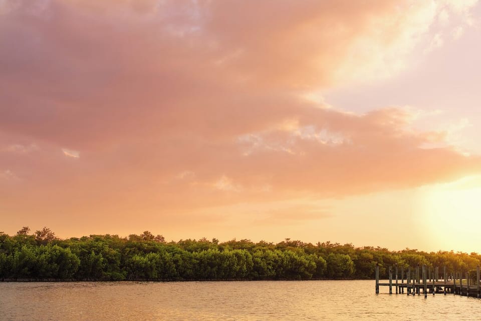 Golden sunset over lush mangroves, a serene Cape Coral waterfront view.