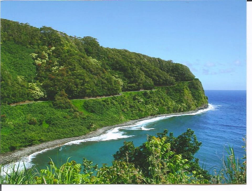 Scenic coastal views on the road to Hana