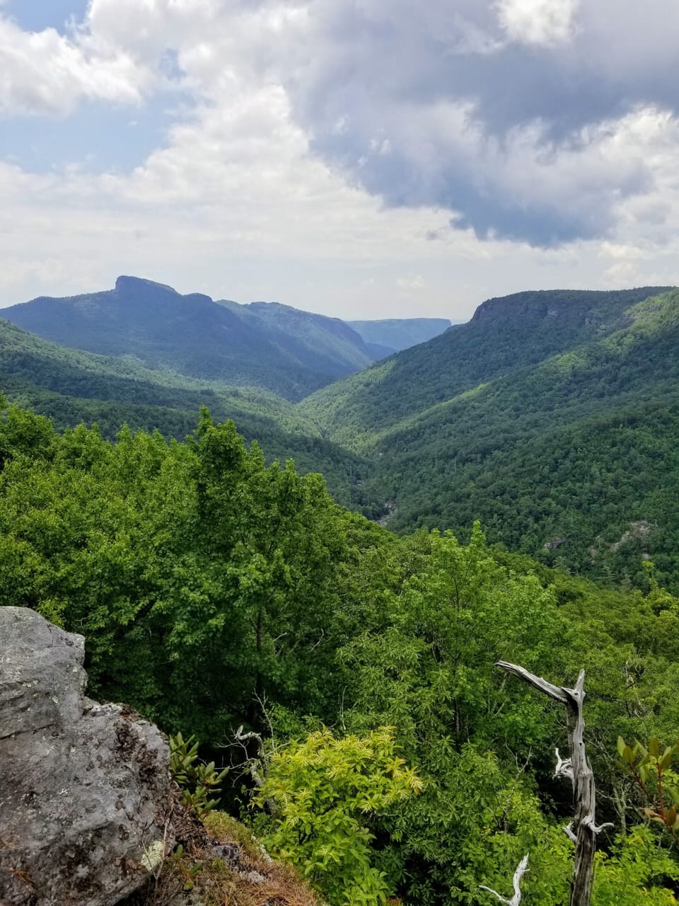 Hiking in our Back Yard