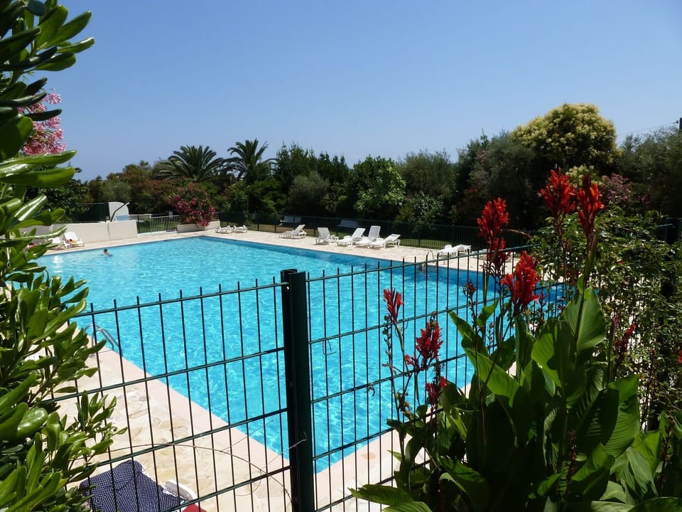 Large 25m pool and lounging area is part of the residence