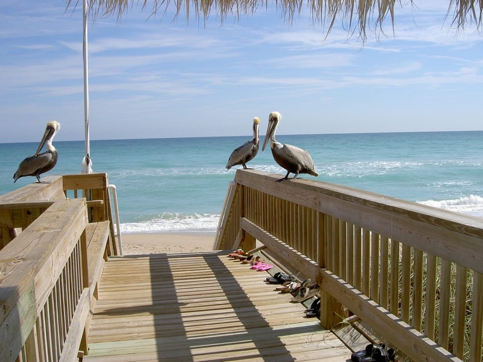 Walkway to the Beach