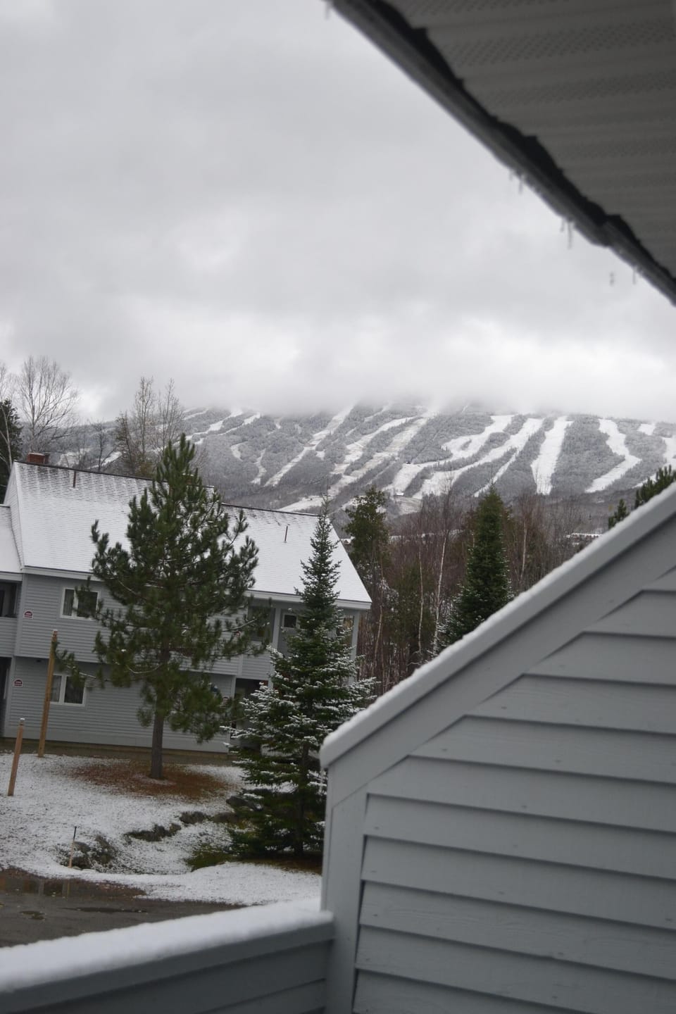 View of mountain from the patio/living room windows (mtn covered by snow storm)