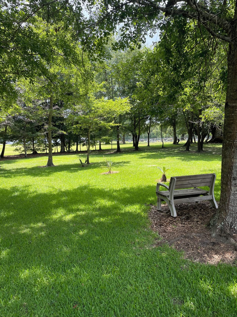 Your back yard to enjoy.