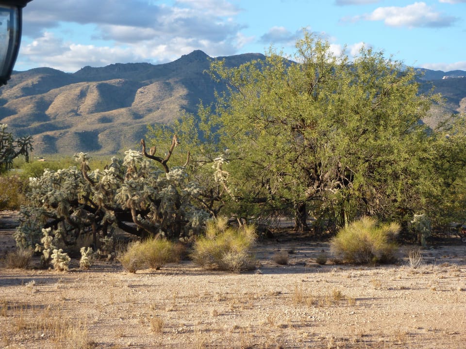 Better idea of view from patio