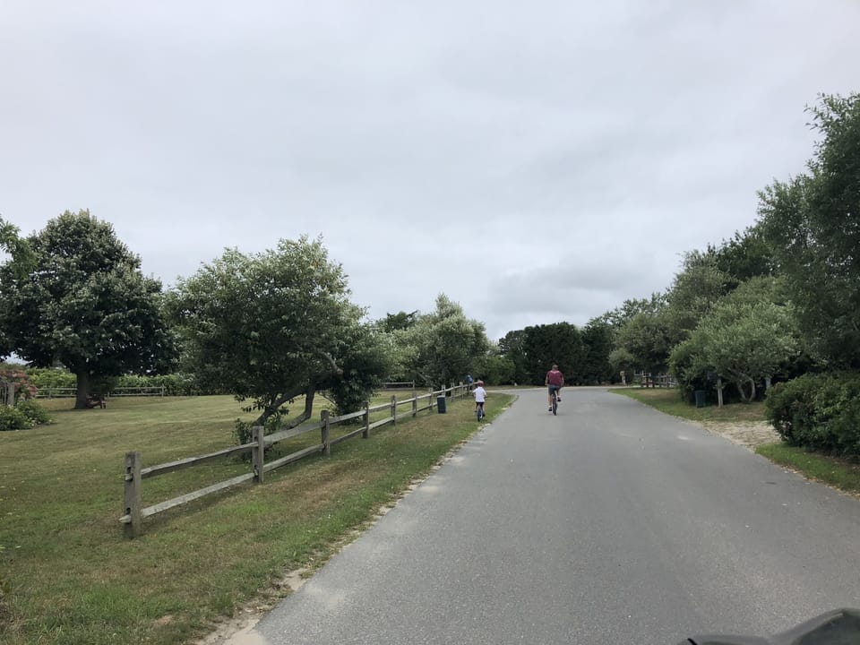 Quiet, paved Pond Road is great for riding bikes, evening walks