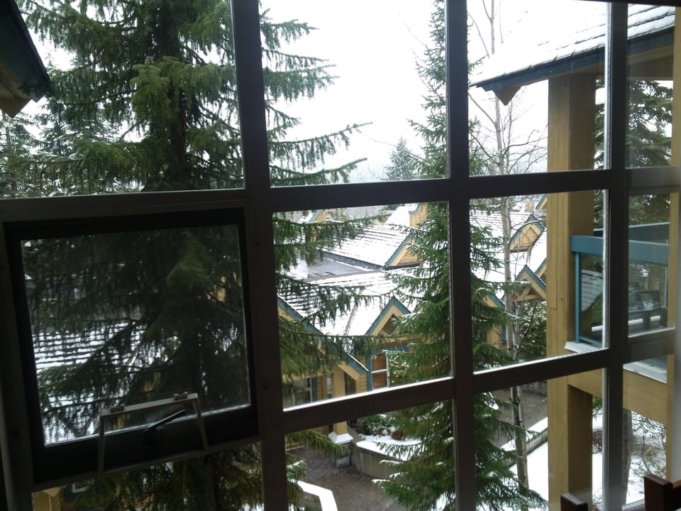 View from Dining Room