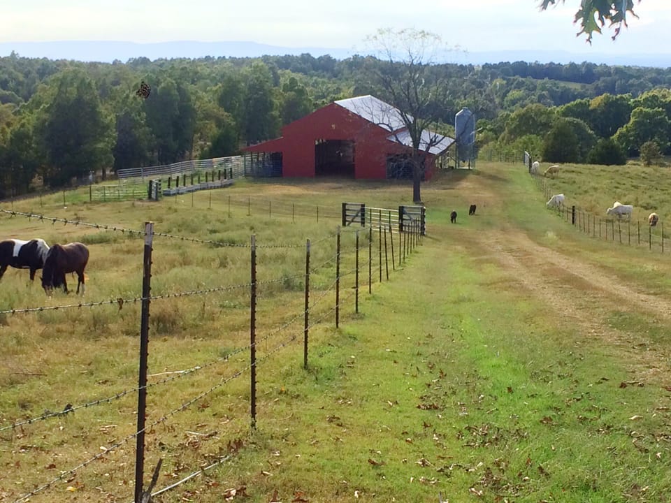 Victory Ranch Stables! 