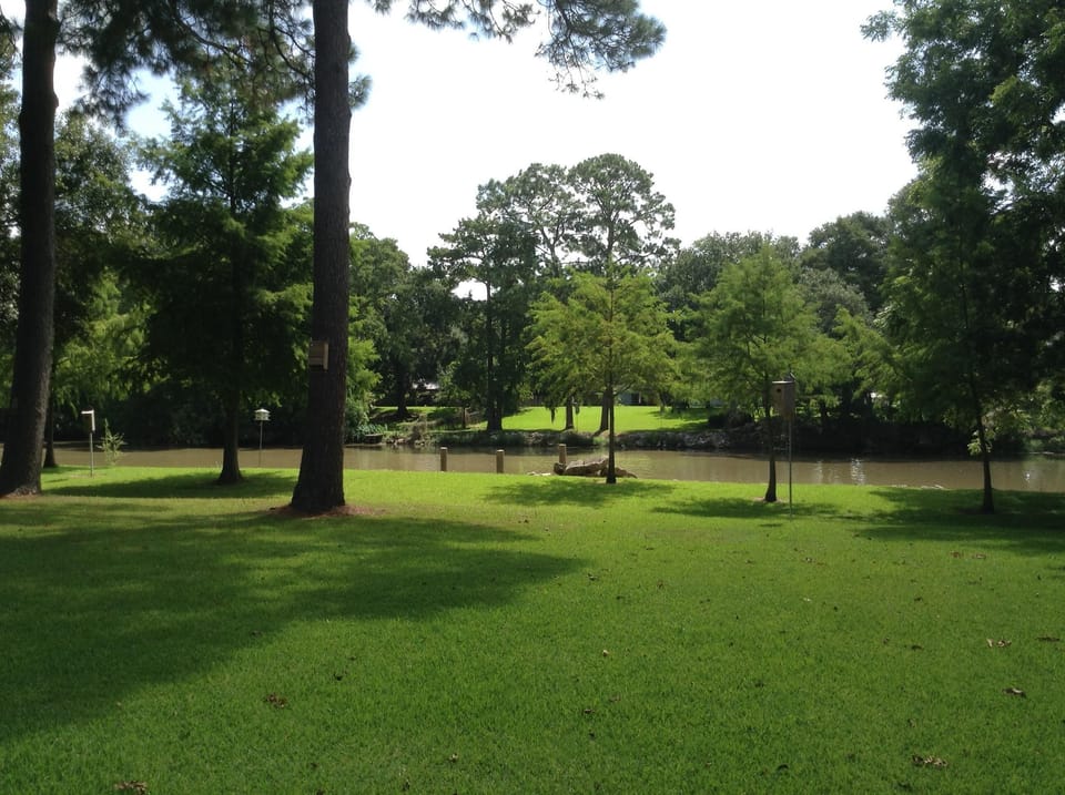 View of Vermilion River from covered porch.