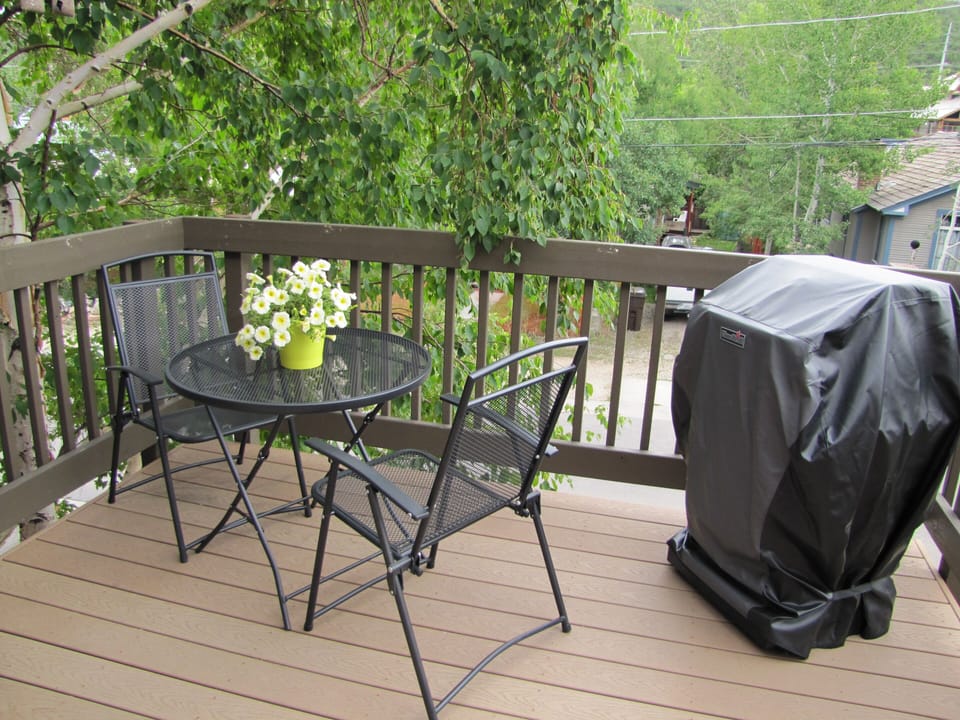 Deck overlooking Woodside Ave.  New Gas Grill.