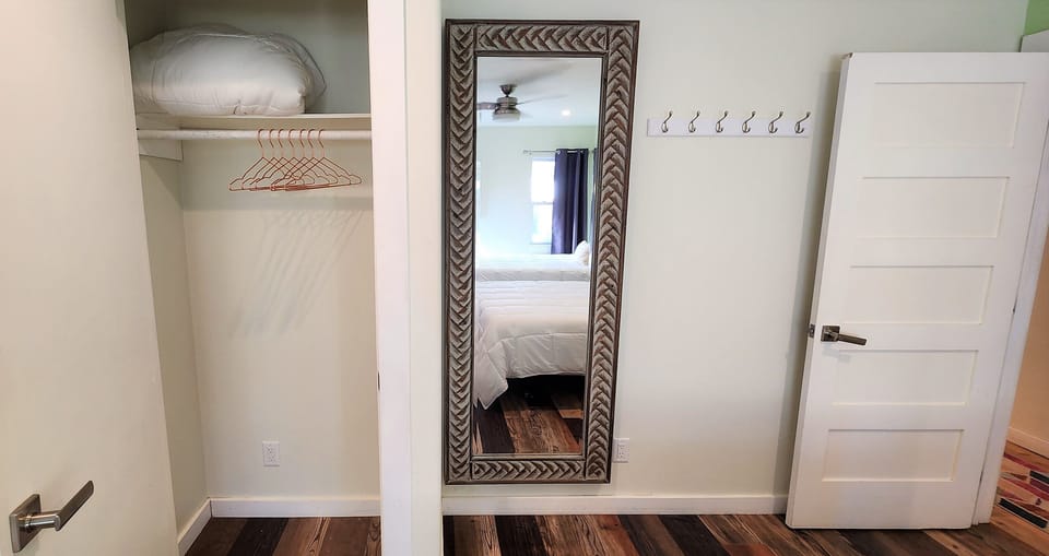 Guest Bedroom Closet/Mirror