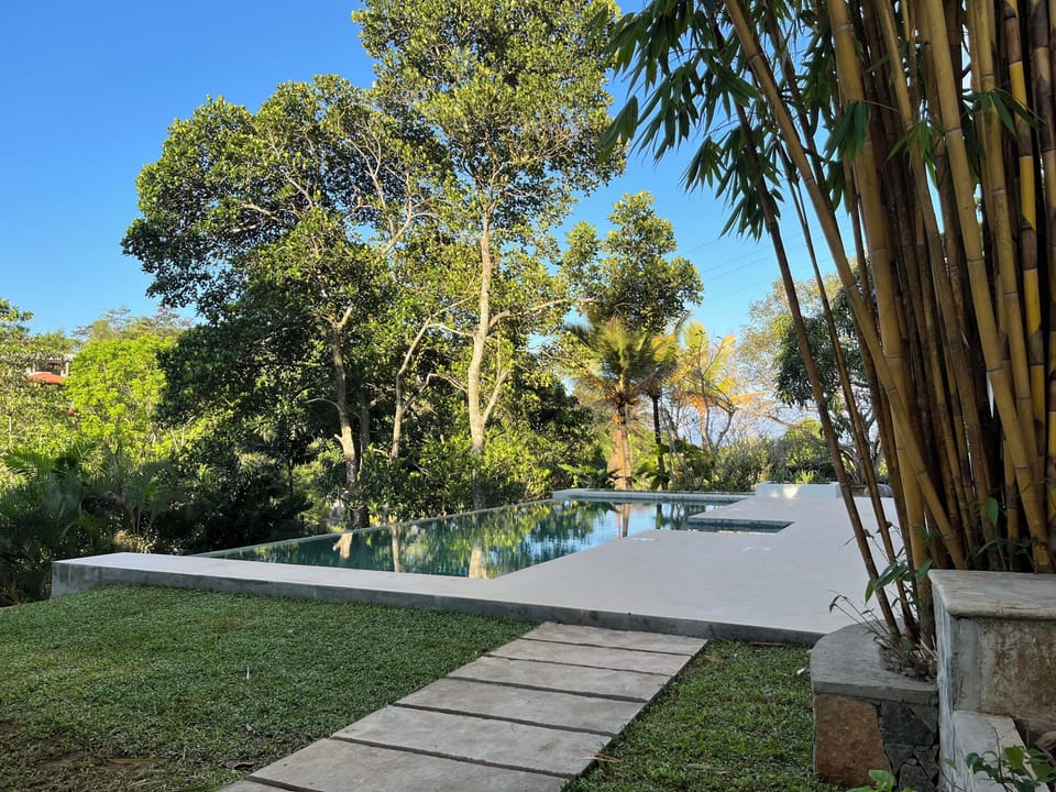 Pool view from the room