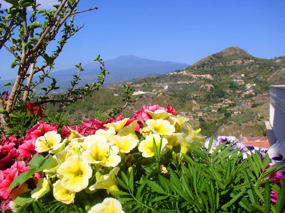 Moun Etna from the terrace