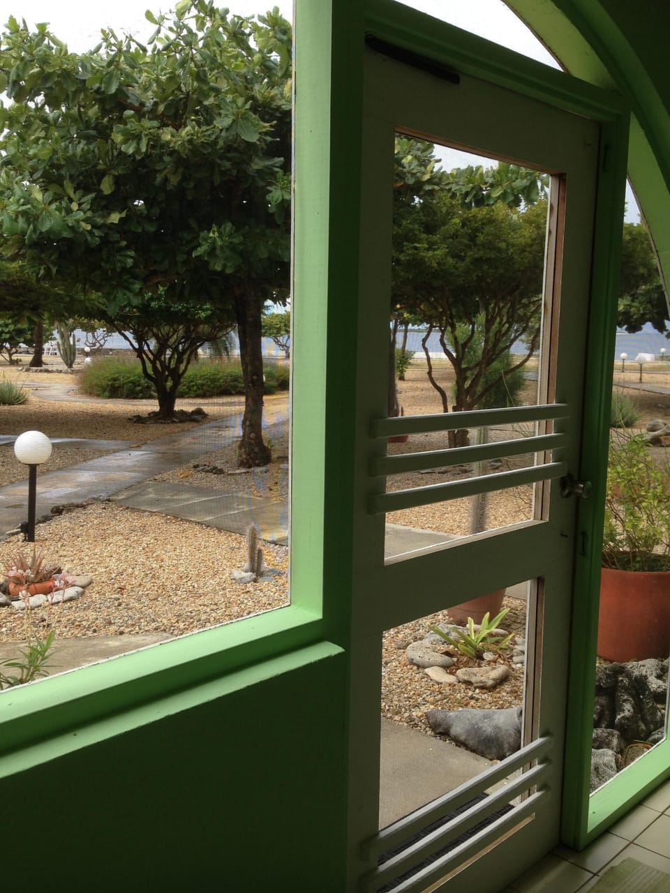 View From Screened Porch