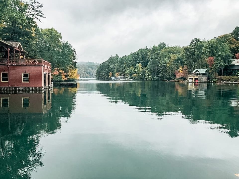 View looking down the cove toward main part of lake