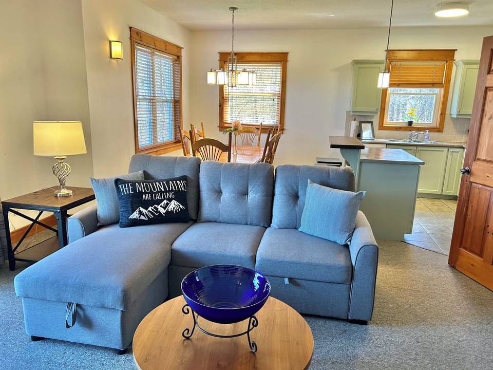Pull out couch for extra sleep space
