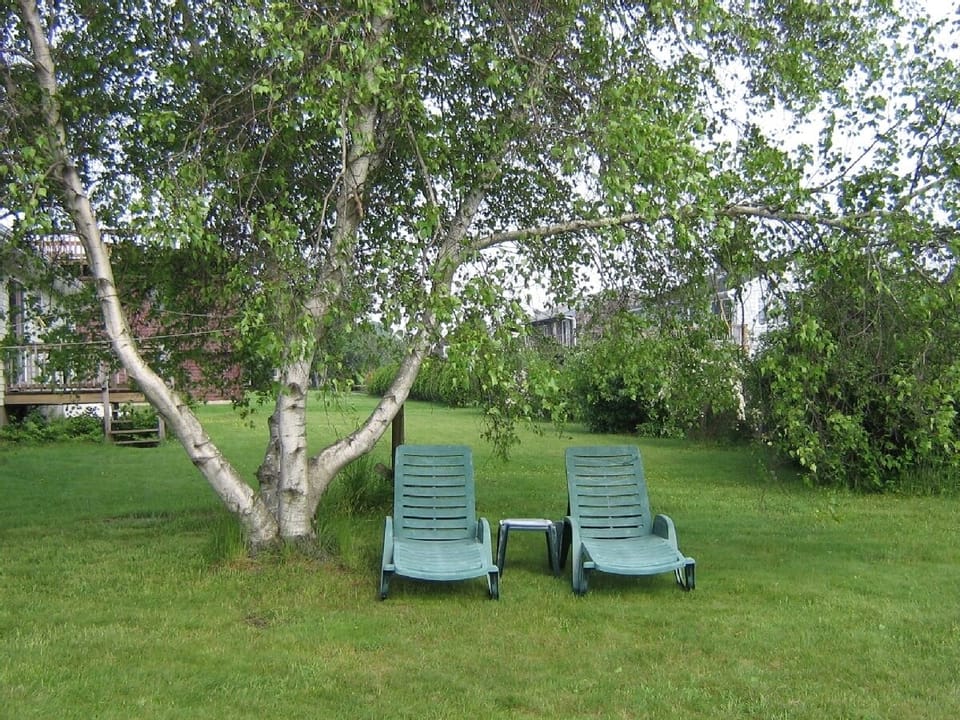 Relax in the large backyard!