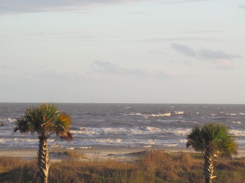 View from Deck