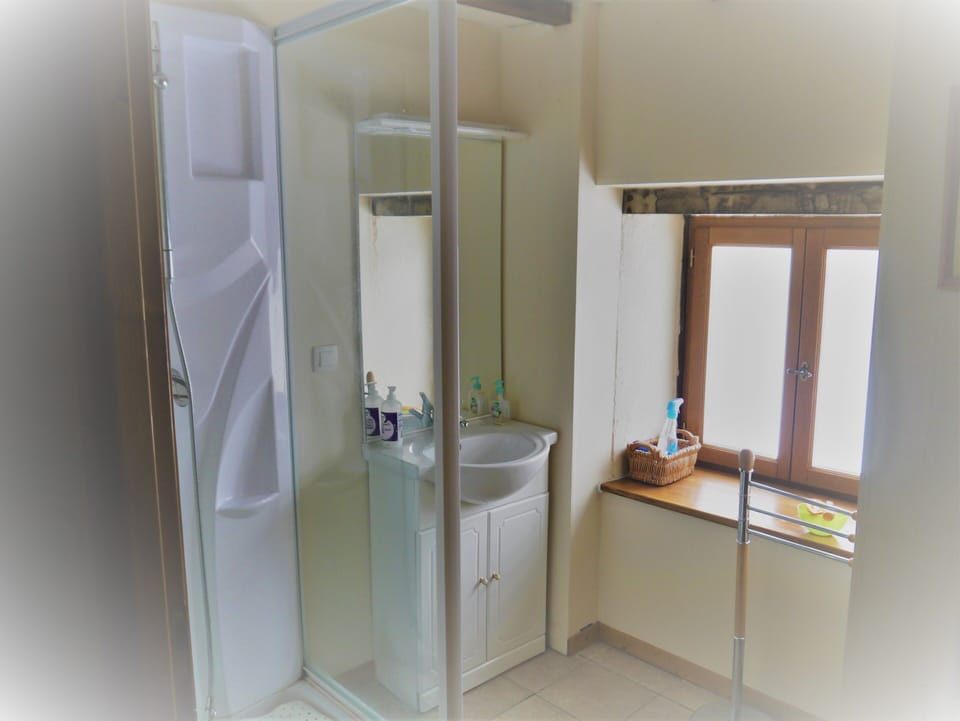 Downstairs shower and toilet
