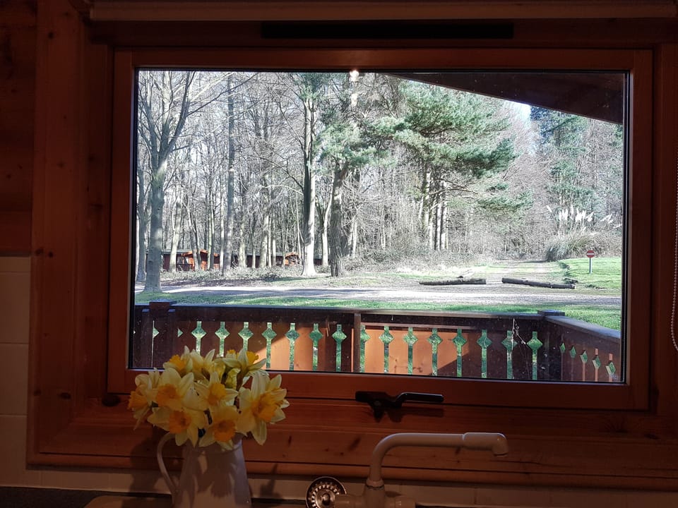 View whilst washing up!