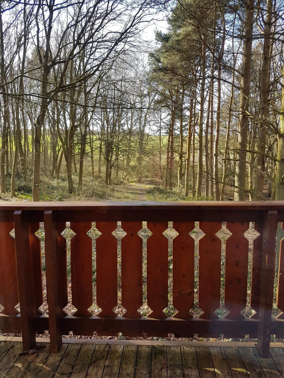 View from Master bedroom with access out onto decking