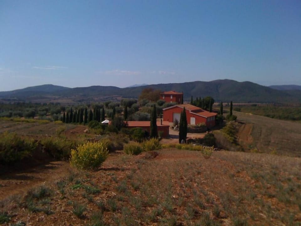 Overview