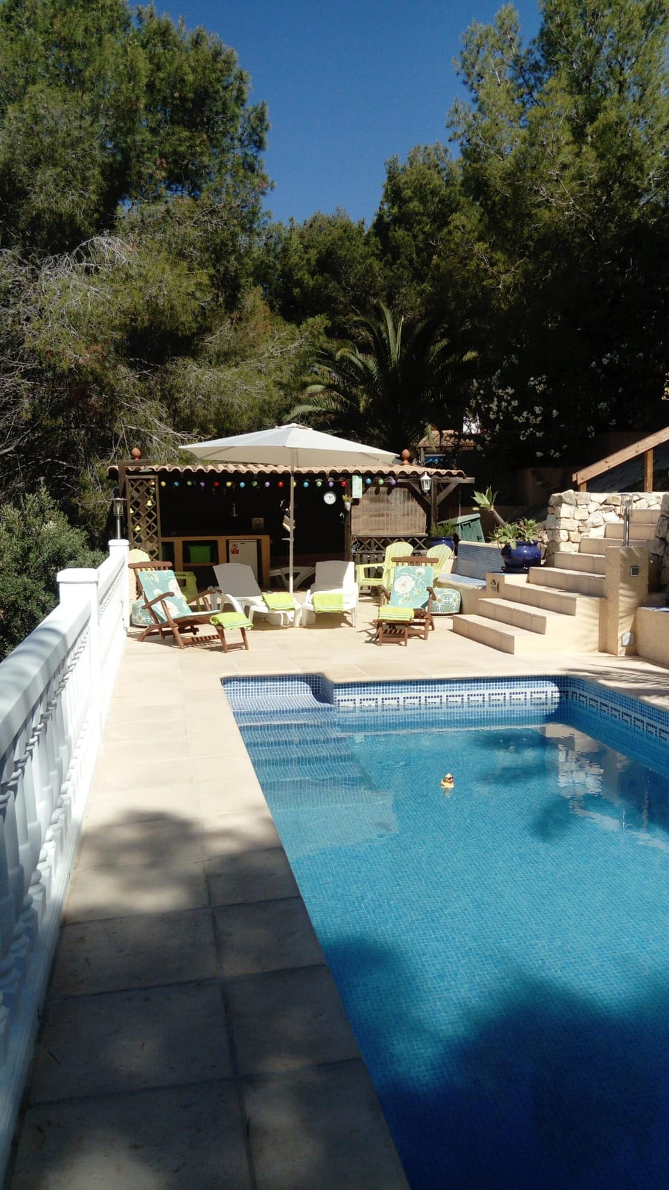 The pool