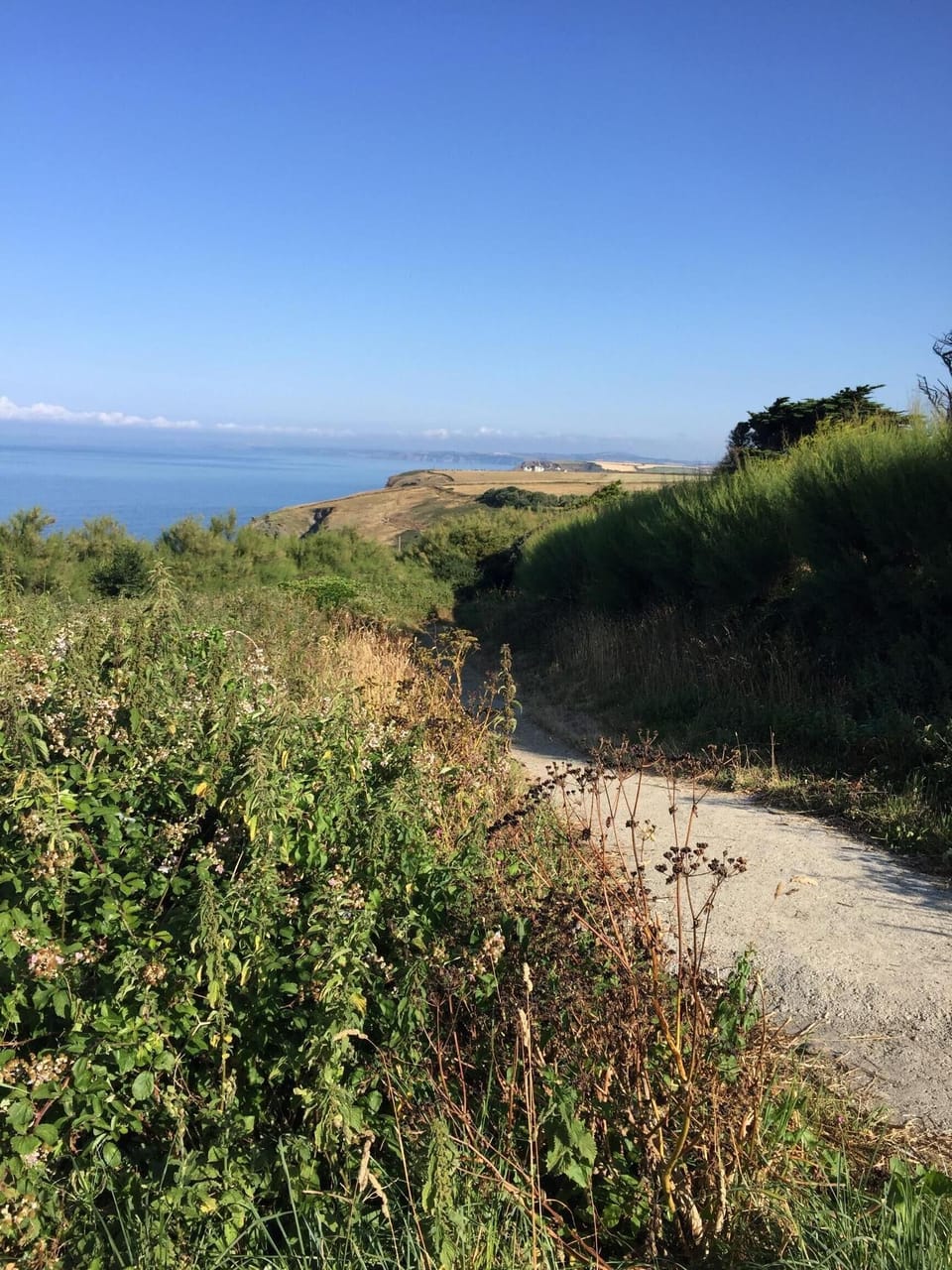 Cliff path to Polurrian Cove