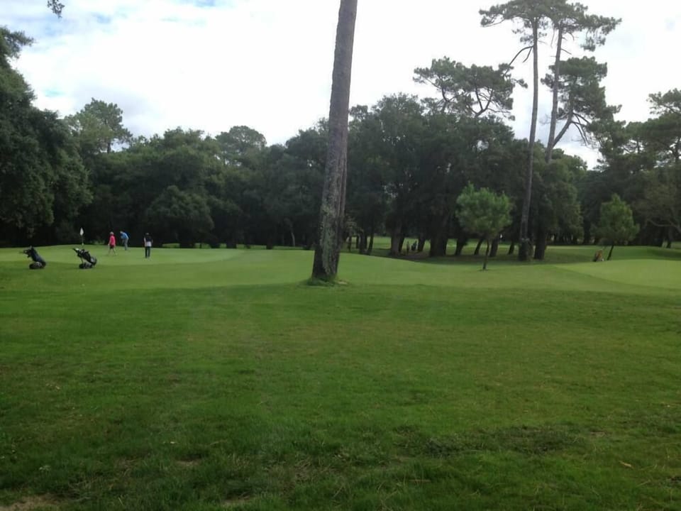 Golf