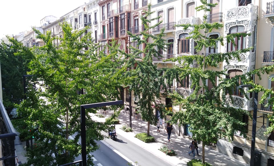THE BALCONIES OF THE GRAN VIA: COMFORT IN THE HEART OF GRANADA Apartment in Granada