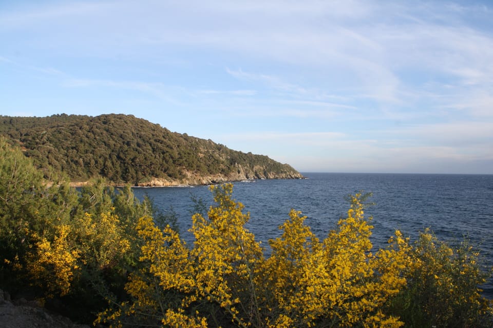 Air-conditioned apartment 4 pers - terrace - 200 m beach - 50m shops-tt comfort Apartment in Sainte-Maxime