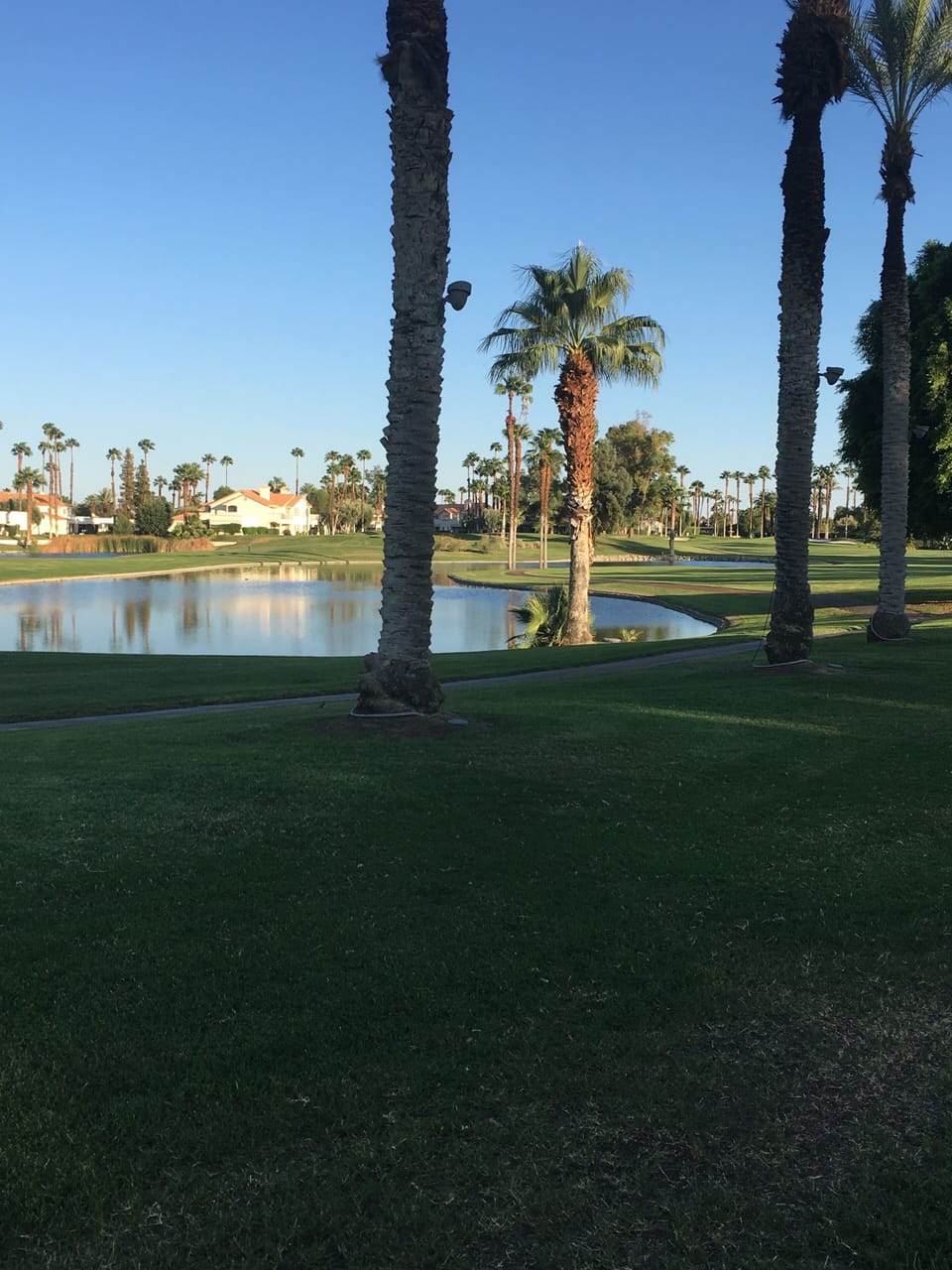 Golf Course Lake View