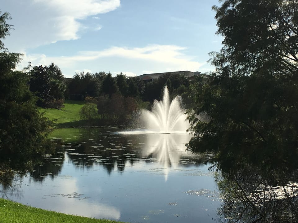Nature path to pond.