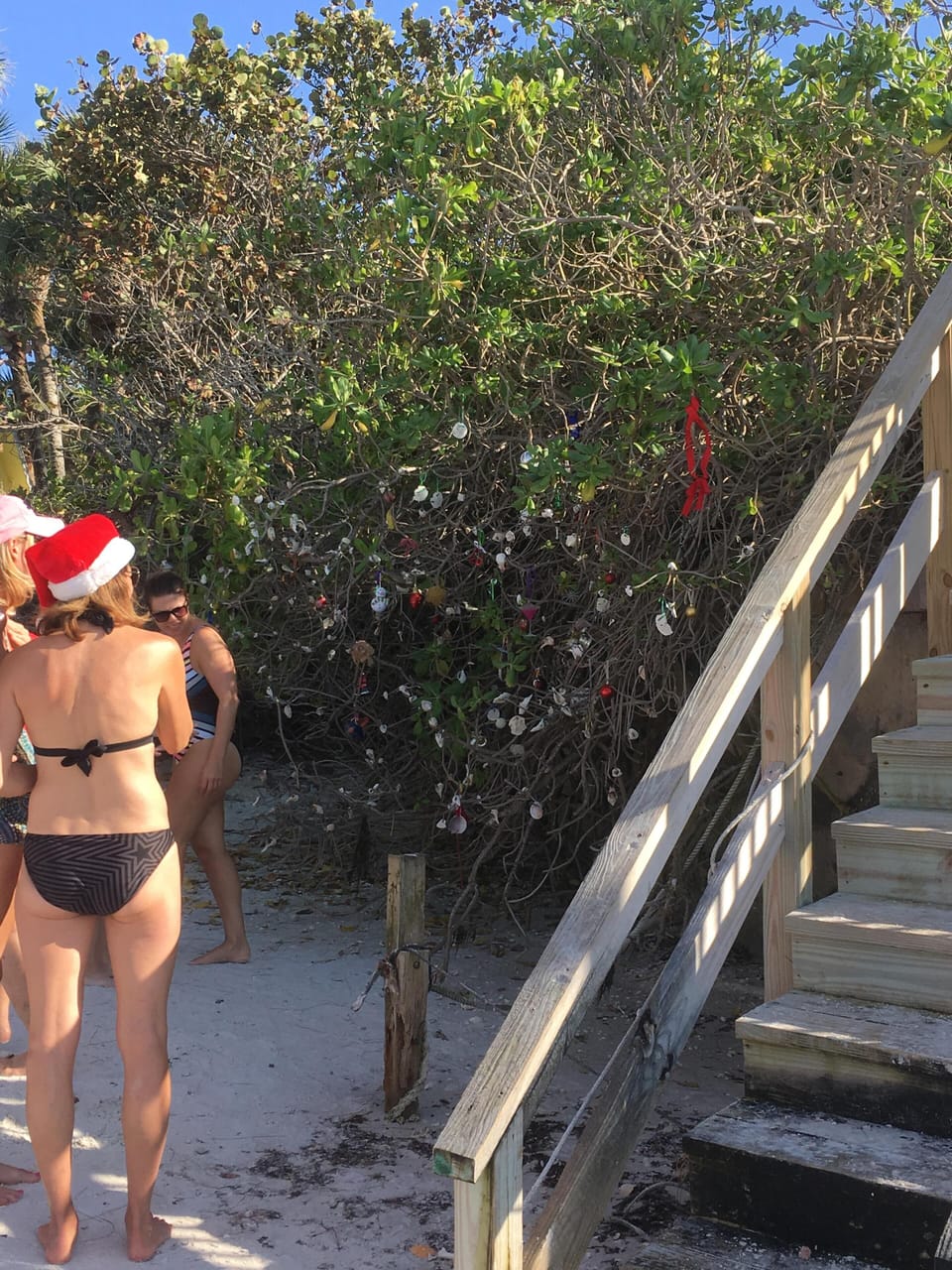 Shell tree at the beach for Christmas.