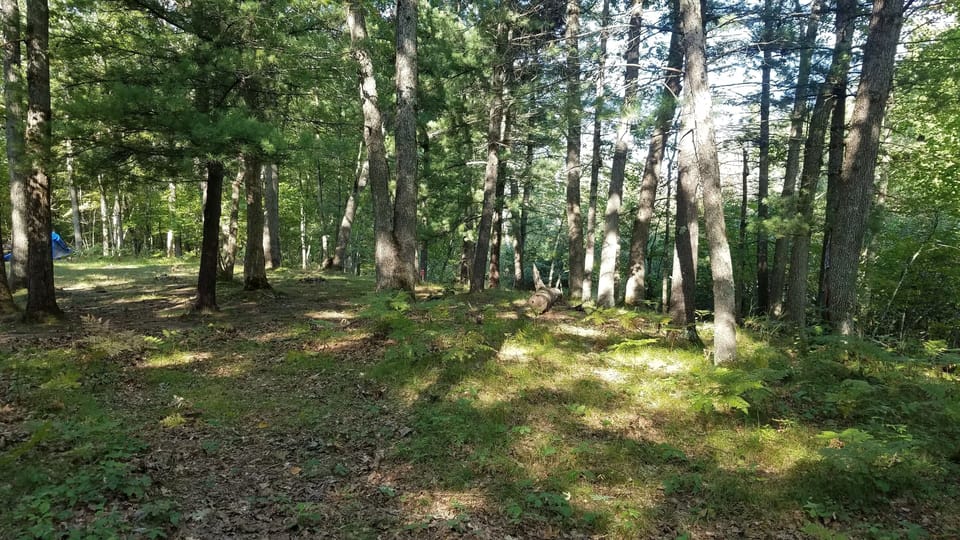 Only 50yrds to the dock equiped with benches ! Fish or read a book ?