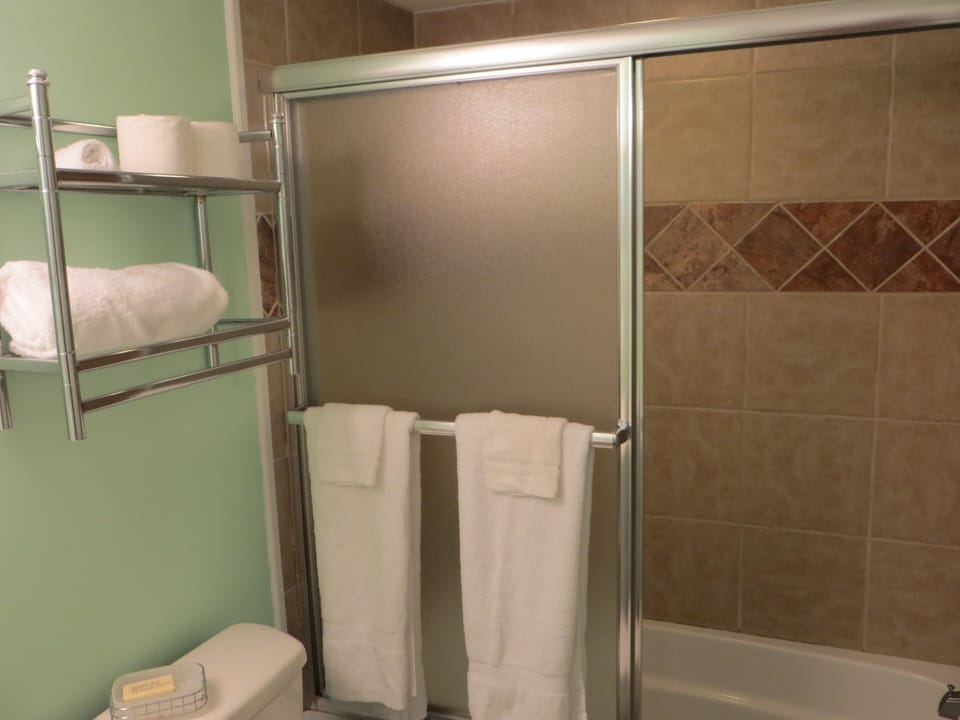 ALL NEW BATH, CERAMIC TILE, GLASS DOOR,RECESSED LIGHT