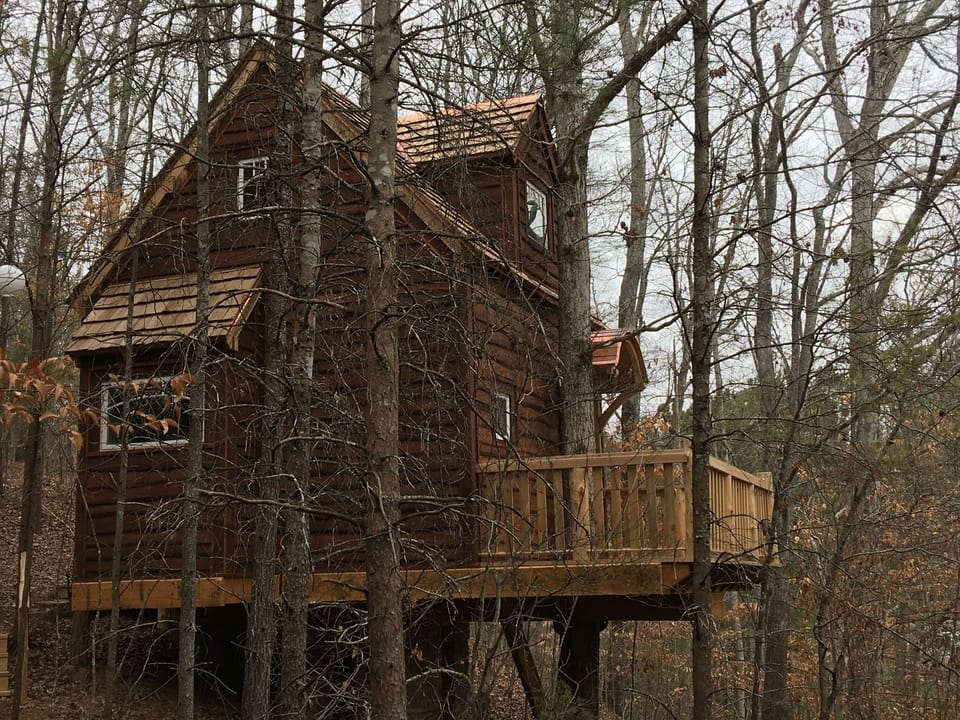 Your home in the woods