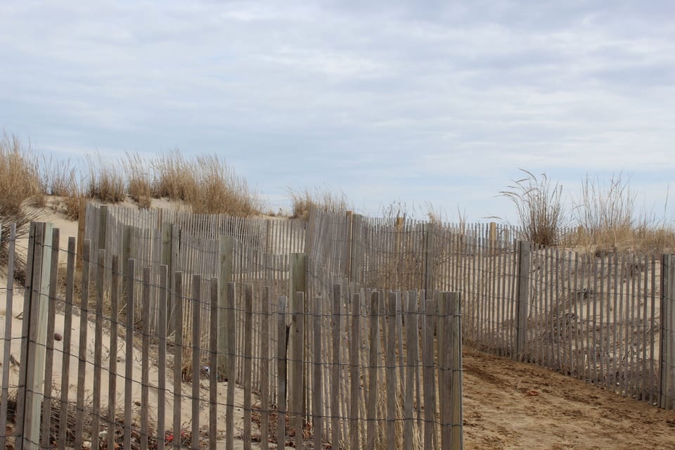 36th st path to ocean!