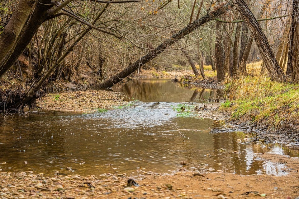 Barons Creek - where our kids LOVE catching tadpoles!
