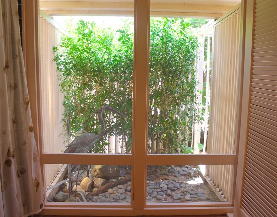 Protected view from the Master Bathroom.