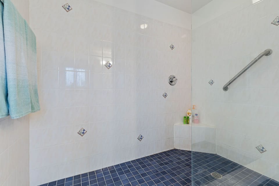 Large Walk-In Shower in Master Bath