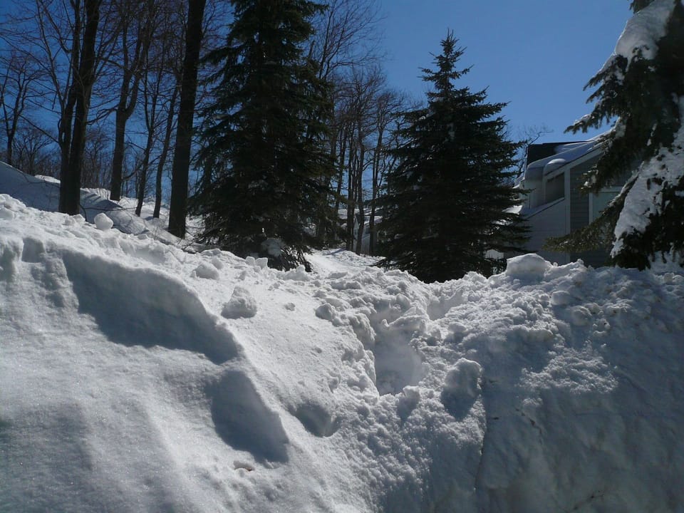 Big snow