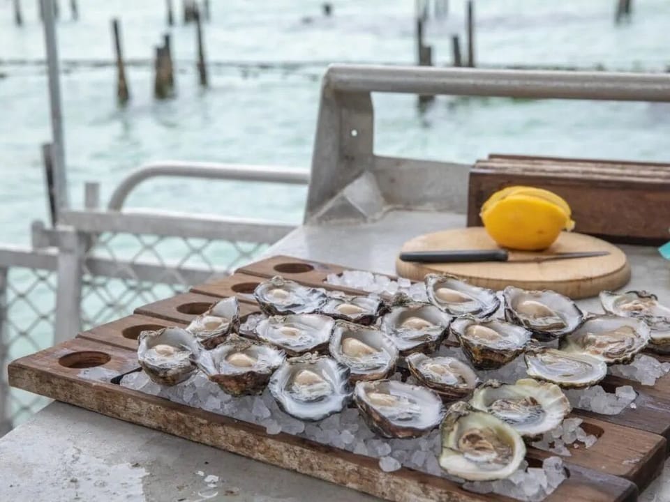 Fresh oysters at Coffin Bay
