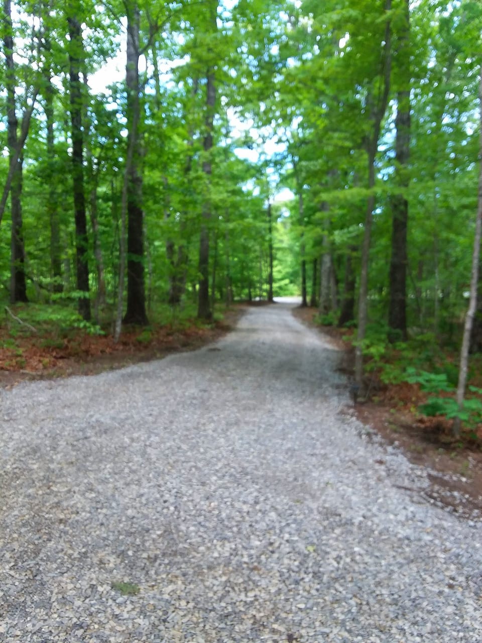 the driveway