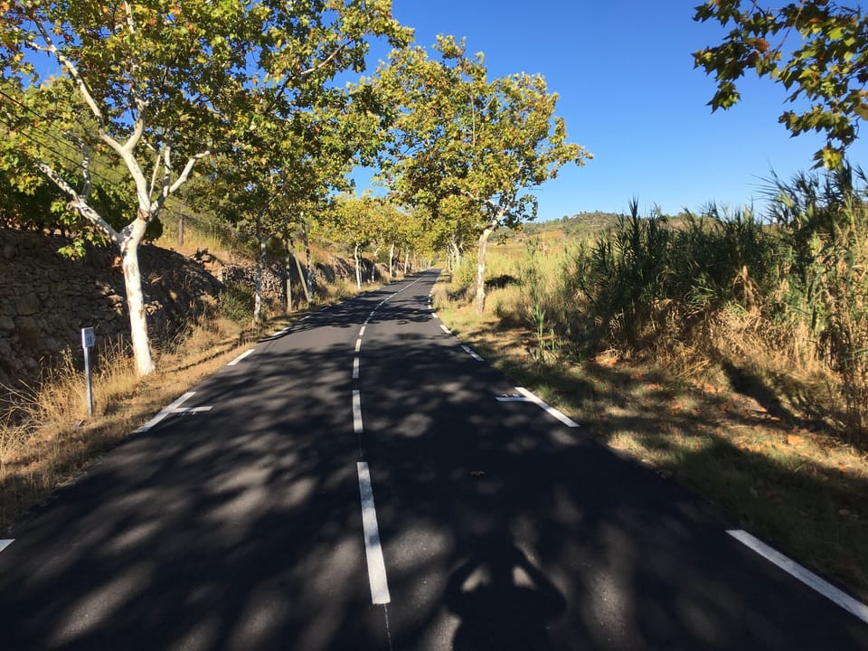 Nice bike route - with shade!