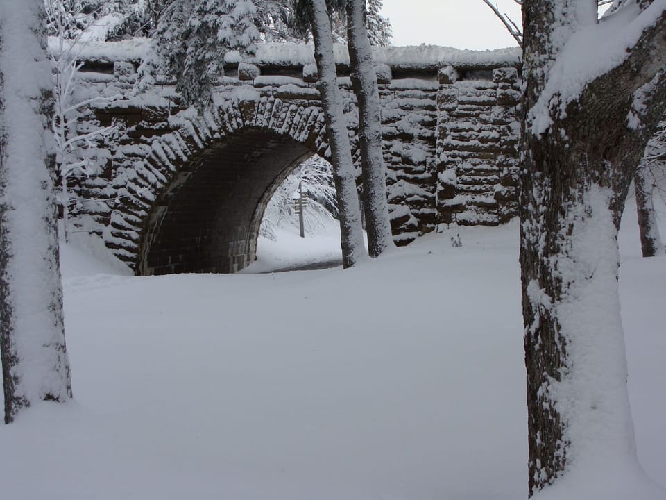 Winter carriage trails.
