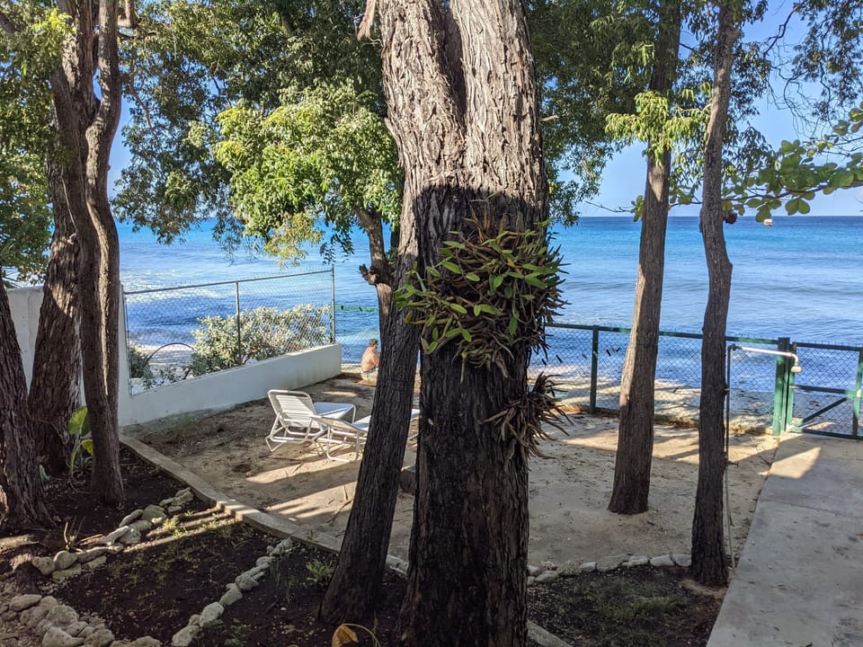Fully enclose yard with spectacular views