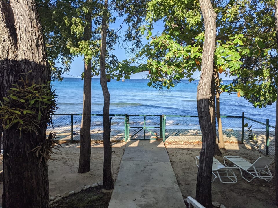 View from the front patio